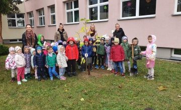 Dzień Drzewa w Przedszkolu