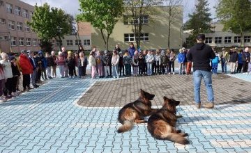 Spotkanie z psem tropiącym