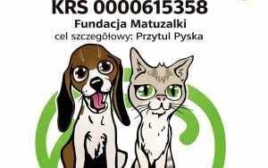 Zbiórka darów dla schroniska „Przytul Pyska” (1)