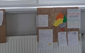 Tydzień Mózgu (7)
