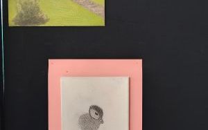 Galeria Jednego Autora (5)