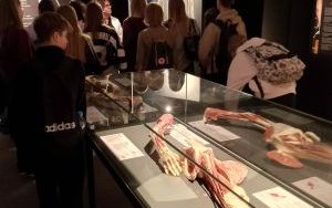 Body Worlds (6)