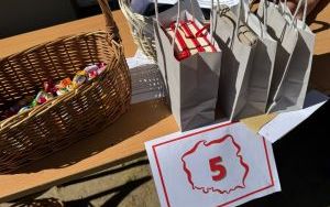 Święto Konstytucji 3 Maja (11)
