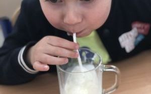 Zajęcia z cyklu projekt mleko gr.Biedronki (8)