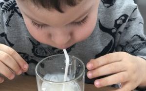 Zajęcia z cyklu projekt mleko gr.Biedronki (9)