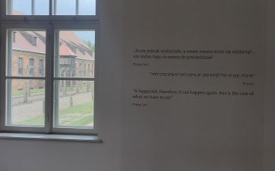 Auschwitz-Birkenau (6)