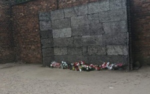 Auschwitz-Birkenau (5)