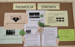 Dni Promocji Zdrowia (10)